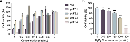 Figure 3 Cell viability determined using the CCK-8 assay. (A) Effects of Panax notoginseng fermented by different concentrations of Saccharomyces cerevisiae strains on MSF viability; (B) MSFs incubated in different concentrations of H2O2 for 2 h. Compared with the untreated group, *P < 0.05, **P < 0.01, ***P < 0.001.