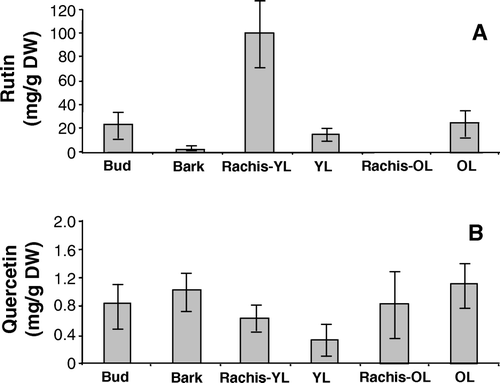 Figure 4.  Rutin (A) and quercetin (B) contents in the leaf bud, bark, and rachis of young (YL) and old leaves (OL) of a faveiro tree. Bars indicate standard deviation of the means.