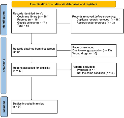 Figure 1 Flowchart of literature identification, screening, eligibility, and inclusion process.