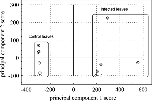 Figure 3.  PCA score scatter plot of the first two principal components, after alignment of GC-FID chromatograms of the headspace of five control tomato leaves and five infected tomato leaves.