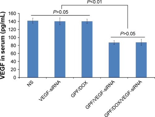 Figure 15 The expression of VEGF protein in vivo (n=5).Abbreviations: DOX, doxorubicin; GPF, graphene oxide-poly-l-lysine hydrobromide/folic acid; NS, normal saline; siRNA, small interfering RNA; VEGF, vascular endothelial growth factor.