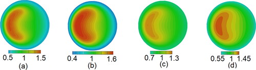 Figure 7. Distribution of relative particle number concentration on the cross-section at outlet. (a) St = 0.020, De = 1862, Re = 10,500, β = 8, (b) St = 0.014, De = 2460, Re = 10,500, β = 8, (c) St = 0.014, De = 1862, Re = 4500, β = 8, and (d) St = 0.014, De = 1862, Re = 10,500, β = 4.