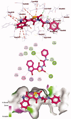 Figure 12. 3D, 2D, and surface mapping of the compound 13 in the active site of VEGFR-2. The hydrogen bonds were presented in agreen colour with Lys866, Glu883 and Asp1044. The hydrophobic bonds were presented in orange colour with Cys917, Ala864, Leu838, Leu1033, Phe1045, Val846, Val914, and Leu887.
