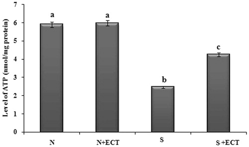 Figure 7. The level of ATP in the lenses of experimental groups. N: Normal; S: Selenite. Each value represents mean ± SEM of six values. Different alphabets indicate significant difference between different groups at p < 0.05. Comparison is carried out between the groups; aindicates normal group, bindicates significantly different from normal group and cindicates significantly different from cataract group.