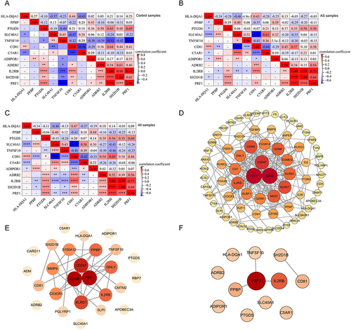 Figure 8 Correlation analysis and interaction among DEIRGs: (A) Correlation analysis of 12 diagnostic biomarkers in PB of all samples (“*” represents p < 0.05, “**” represents p < 0.01, “***” represents p < 0.001, “****” represents p < 0.0001; numbers indicate correlation coefficients). (B) Correlation analysis of 12 diagnostic biomarkers in PB of AS samples. (C) Correlation analysis of 12 diagnostic biomarkers in PB of control samples. (D) PPI network of DE mRNA in PB samples. (E) PPI network of DEIRGs in PB samples. (F) PPI network of diagnostic biomarkers in PB samples. (Node: gene; Link: interaction between genes; Node size: the larger the size, the more genes with interaction.).