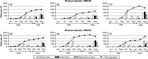 Figure 1.  Total tiller population and the number of new, dead and reproductive tillers during consecutive periods in seed crops of Bromus inermis established on three different dates and with three different plant densities in 1998–1999 and 1999–2000. a and d: Planted 15 June 1998 or 18 June 1999 at plant spacing 30×30 cm; b and e: planted 15 July 1998 or 30 July 1999 at plant spacing 15×15 cm; c and f: planted 15 August 1998 or 15 September 1999 at plant spacing 7.5×7.5 cm.