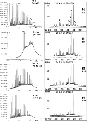 Figure 19 GC-FID (left panel) and GC-MS-SIM chromatograms for TPH and n-alkane analysis and biomarker terpane analysis of 25-year-old Nipisi oil spill samples collected from the same location and site but at varying sampling depths.