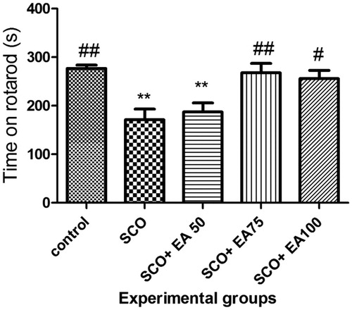 Figure 3. Comparison of the balance maintenance time in rotarod test between groups. * Shows significant differences with control group (**p < 0.01). # Shows significant differences with scopolamine treated group (##p < 0.001, #p < 0.05). SCO = Scopolamine, SCO + EA 50, 75 and 100 = scopolamine plus E. amoenum extract at doses of 50, 75 and 100 mg/kg.