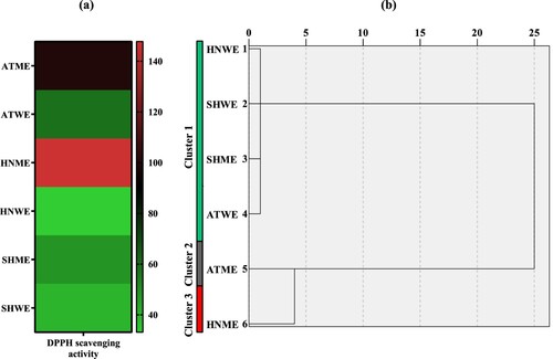 Figure 2. (a) Heatmap based on IC50 values for DPPH scavenging activities of plant extracts and (b) dendrogram (High and low activities were represented by red and green colour, respectively). ATME: Methanol extract of A. tokatensis; ATWE: Water extract of A. tokatensis; HNME: Methanol extract of H. noeanum; HNWE: Water extract of H. noeanum; SHME: Methanol extract of S. huber-morathii; SHWE: Water extract of S. huber-morathii.