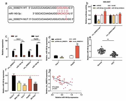 Figure 3. Circ_0008274 adsorbs miR-140-3p