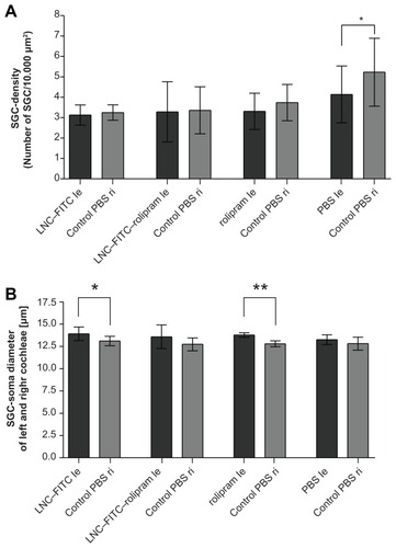 Figure 6 (A) Mean SGC density (cells/10.000 μm2) of deafened guinea pigs treated with LNC–FITC (n = 7), LNC–FITC–rolipram (n = 6), rolipram (n = 7), and PBS (n = 6) in 1:100 dilution (mean ± SD; *P < 0.05). (B) Mean SGC soma diameter of deafened guinea pigs treated with LNC–FITC, LNC–FITC–rolipram, rolipram, and PBS in 1:100 dilution (mean ± SD; *P < 0.05; **P < 0.01). Only LNC–FITC- and rolipram-treated animals showed a significant difference in SGC soma diameters between left (le, test substance) and right (ri, control).Abbreviations: FITC, fluorescein isothiocyanate; LNC, lipidic nanocapsules; PBS, phosphate-buffered saline; SD, standard deviation; SGC, spiral ganglion cells.