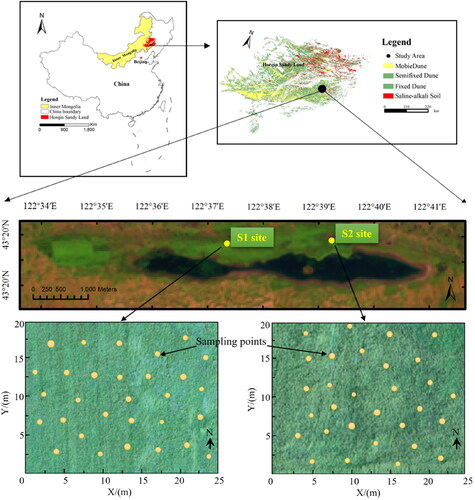 Figure 1. Two experimental sites and sampling points in the study area.