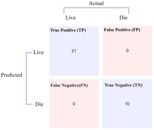 Figure 5. Hepatitis testing graph confusion matrix.