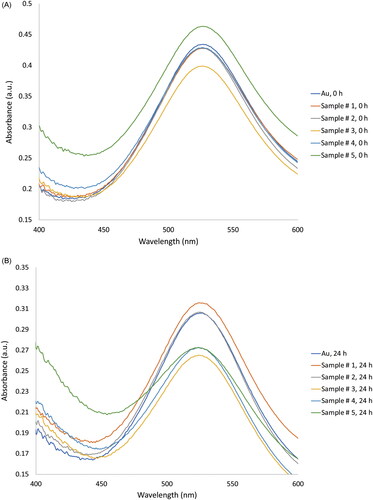 Figure 2. Representative UV–Vis spectra of free Au nanoparticles and Au nanoparticles associated with different concentrations of the test drugs at 0 h (A) and 24 h (B). Docetaxel, cisplatin, 5-fluorouracil (TPF), and Au nanoparticles prepared using different chemotherapy drug and nanoparticle compositions are shown in Table 1.