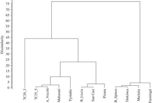 Figure 2 Dendrogram by Ward's method resulting from cluster analysis.
