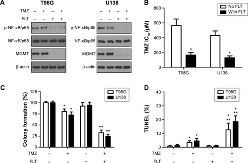 Figure 4 Fluoxetine enhances TMZ’s antitumoral effect on cell growth, tumorigenic potential and induction of apoptosis.