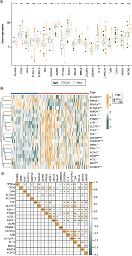 Figure 2. Expression of differentially expressed fatty acid metabolism related genes in dilated cardiomyopathy and myocardial infarction.(A) Box plots showing the differential gene expression in diseases and control samples. (B) Heat map showing the enrichment of 20-DE-FRG in control samples and disease samples. (C) Scatter plot showing the correlation among 20-DE-FRG.*p < 0.05; **p < 0.01; ***p < 0.001, determined by Kruskal–Wallis test.DE-FRG: Differentially expressed fatty acid metabolism related gene.
