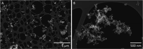 Figure 2. Secondary electron images of soot agglomerates collected from the exhaust pipe of the main diesel engine. (A) An overview of soot particles and (B) close-up of a soot agglomerate.