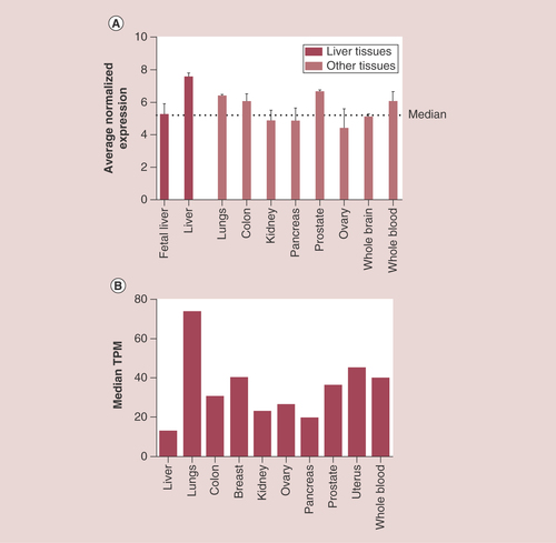 Figure 2. Tissue-specific pattern of RapGEF1 (C3G) mRNA expression.(A) Histogram showing RapGEF1 mRNA expression in fetal liver, adult liver, lung, colon, kidney, pancreas, prostate, ovary, whole brain and whole blood, expressed as the average normalized expression. The dotted line marks the median. These data were extracted from BioGPS platform using GeneAtlas U133A datasets composed of 176 samples of different human tissues. (B) Histogram showing RapGEF1 mRNA expression in liver, lung, colon, breast, kidney, ovary, pancreas, prostate, uterus and whole blood, expressed as the median TPM. These data were extracted from GTExportal (GTEx Analysis Release V6P), with a dataset composed of 175 liver samples.TPM:Transcript per kilobase million.