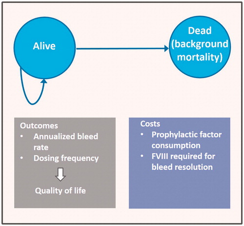 Figure 1. Structure of the Markov model used in cost-utility analysis of prophylaxis with extended half-life rFVIIIFc vs rFVIII.