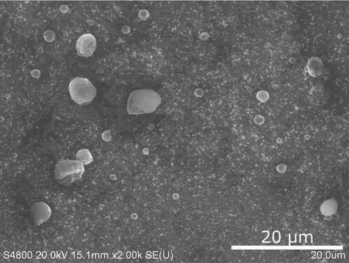 Figure 17. SEM image of LFP explosion aerosols on anodisc filter.