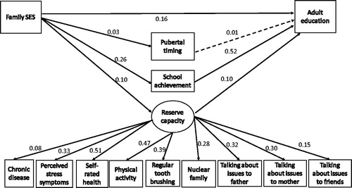 Figure 2. Boys: Structural equation model depicting relationships among family socioeconomic status (SES), pubertal timing, school achievement and reserve capacity in adolescence and adult education level (RMSEA = 0.05; CFI = 0.90). The values along the paths are standardised regression coefficients. Solid lines indicate statistically significant paths (p < 0.001).