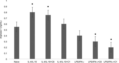 Figure 3 Change of arginase-1 expression by action of C8 and C1 isomers in IL-4/IL-10 and LPS/IFN-γ stimulated macrophages. Figure 4 Chang of iNOS expression by action of C8 and C1 isomers in IL-4/IL-10 and LPS/IFN-γ stimulated macrophages.Notes: RAW 264.7 cells (5–105 cells per well) were treated for 24 hours with IFN-γ (20 ng/ml) and LPS (100 ng/ml) to induce the M1 phenotype, and with IL-4 (20 ng/ ml) and IL-10 (10 ng/ml) to induce the M2 phenotype in the presence of MBP C8 and C1 isomers followed by the determination of iNOS expression as described in the “Methods” section. Data represented are mean ± SEM of results from four separate experiments performed in duplicate. *P<0.05 vs naive cells.Abbreviations: IFN-γ, interferon-gamma; iNOS, inducible nitric oxide synthase; lPs, lipopolysaccharide; MBP, myelin basic protein; SEM, standard error of mean.Display full sizeNotes: RAW 264.7 cells (5–105 cells per well) were treated for 24 hours with IFN-γ (20 ng/ml) and LPS (100 ng/ml) to induce the M1 phenotype, and with IL-4 (20 ng/ml) and IL-10 (10 ng/ml) to induce the M2 phenotype in the presence of MBP C8 and C1 isomers followed by the determination of arginase-1 expression as described in the “Methods” section. Data represented are mean ± SEM of results from four separate experiments performed in duplicate. *P<0.05 vs naive cells.Abbreviations: IFN-γ, interferon-gamma; LPS, lipopolysaccharide; MBP, myelin basic protein; SEM, standard error of mean.