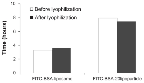 Figure 4 The 50% retention time (t50%) of FITC-BSA (before [white] and after [black] lyophilization) of the various formulations.Notes: The results were calculated using the Higuchi equation. *P < 0.01.Abbreviation: FITC-BSA, fluorescein isothiocyanate-conjugated bovine serum albumin.