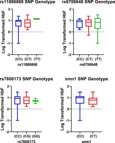 Figure 2 Box plots distribution of HbF levels (log-transformed) within the SNP genotypes for HU- group. Data were compared with Mann–Whitney U-test using a dominant model (ie, homozygous genotypes for the wild type allele versus homozygous and heterozygous for the mutant allele).