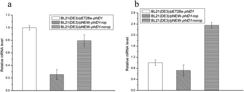 Figure 3. The relative phlD1 mRNA level of different strains from samples induced after 3 h (a) and 18 h (b).Note: Error bars are the standard error of the mean.