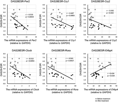 Figure 3. The two-way scatter plot of DAS28-ESR and the expressions of clock genes. The correlation coefficients and p-values are shown in each figure (〇: Before treatment, ●: After treatment).