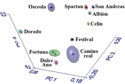 Figure 3. 3D projection of the classes obtained with the SIMCA model.Figura 3. Proyección 3D de las clases obtenidas con el modelo SIMCA.