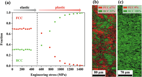 Figure 3. (a) FCC and BCC phase fraction evolution plotted against engineering stress. EBSD phase analysis of the Fe50Co25Ni10Al5Ti5Mo5 MEA (b) before tensile loading and (c) deformed to εloc = ~13%.