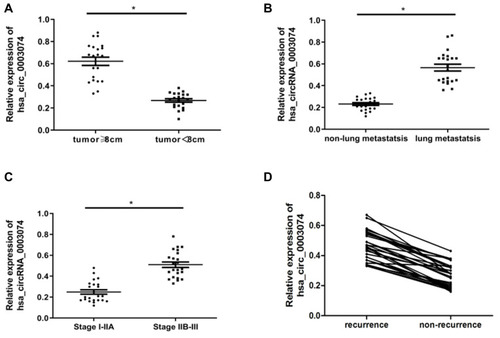Figure 6 Correlation analysis of hsa_circ_0003074 and clinicopathological characteristics in patients with osteosarcoma. (A) is the expression of hsa_circ_0003074 in the serum of osteosarcoma patients (n=40) with different tumor sizes. (B) is the expression of hsa_circ_0003074 in the serum of osteosarcoma patients (n=40) with lung metastasis and non-pulmonary metastasis. (C) is the expression of hsa_circ_0003074 in the serum of osteosarcoma patients (n=40) with different Enneking stages. (D) is the expression of hsa_circ_0003074 in the serum of osteosarcoma patients (n=40) with and without relapse. *Indicates that the difference is statistically significant (p <0.05).