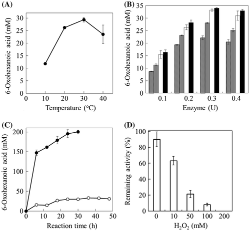 Fig. 3. Analysis for optimizing the reaction conditions of 6-oxohexanoic acid production. (A) Effect of temperature on 6-oxohexanoic acid production. Two hundred millimolar of 6-aminohexanoic acid was incubated with 0.2 U of the ω-AOX at 10 °C – 40 °C for 48 h in 0.1 M potassium phosphate buffer (pH 7.0). (B) Effect of the ω-AOX amounts on 6-oxohexanoic acid production. Two hundred millimolar of 6-aminohexanoic acid was incubated with indicated amounts of ω-AOX at 30 °C for 6, 18, 36, and 48 h, in 0.1 M potassium phosphate buffer (pH 7.0). Hatched bars, 6 h; gray bars, 18 h, open bars, 36 h, closed bars, 48 h. (C) Effect of catalase addition on 6-oxohexanoic acid production. Two hundred millimolar of 6-aminohexanoic acid was incubated with 0.3 U of the ω-AOX at 30 °C for 48 h in 0.1 M potassium phosphate buffer (pH 7.0) (Open circles). The same reaction was carried out by adding 20 U of catalase in the above reaction mixture (Close circles). (D) Effect of H2O2 on the stability of the ω-AOX. Two hundred milliunit of the ω-AOX was incubated with H2O2 at 30 °C for 1 h in 0.1 M potassium phosphate buffer (pH 7.0), and 2 mU of ω-AOX was used for enzyme assay. The ω-AOX activity was assayed at 30 °C by measuring the hydrogen peroxide formation at 505 nm of absorbance, using the reaction solution 20 μmol of 6-aminohexanoic acid, 0.74 μmol of 4-aminoantipyrine, 0.034 μmol of phenol and 15 units of peroxidase at pH 7.0. The percentage of remaining activity was obtained by the ratio to activity without H2O2 and heating. The data represent the means ± S.D. (n = 3).