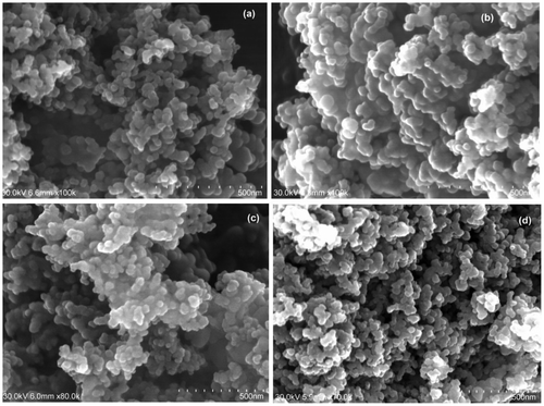 Fig. 2. SEM of (a) unmodified TiO2, (b) C–TiO2-200, (c) C–TiO2-300, and (d) C–TiO2-400. The scale bar represents 500 nm.