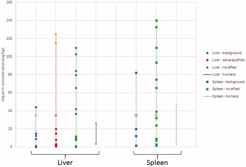 Figure 1. Concentration ranges of total-Si in liver and spleen as found in control animals from different toxicity studies (‘liver background’), in exposed animals from different toxicity studies differentiated in positive (‘adverse effect’) and negative effect levels (‘no effect’), or in human postmortem tissues (‘human background’) based on information listed in Table 2(A,B). Note that tissue concentrations reported by van der Zande et al. (Citation2014) have been converted from SiO2 to Si, and in case values were < LOD this has been indicate by an open bullet or square.