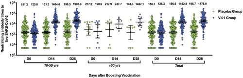 Figure 3. Virus-neutralizing titres pre- and post-booster. Serum was obtained before booster (day 0), 14, and 28 days after the booster vaccination. The neutralizing activity against ancestral strain was quantified by micro-dose cytopathogenic effect assays, with a limit of detection (LOD) of 10. The number above the scatter bars is the GMT for the group.