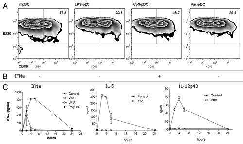 Figure 4. The NGcGM3/VSSP vaccine increases the maturation of Bone Marrow-derived plasmacytoid Dendritic cells. BM of C57BL/6 mice were differentiated in FLT3L-enriched medium. B220+ purified cells were cultured overnight in the presence of LPS (0.5 µg/mL), CpG-A (5 µg/mL), NGcGM3/VSSP (Vac 0.1 µg/mL), or medium (im-pDC). (A) Frequency of CD86+B220+ cells. (B) IFNα secretion by NGcGM3/VSSP treated pDC in culture. Data are representative of 2 independent experiments. (C) C57BL/6 mice were injected ip with the NGcGM3/VSSP vaccine and serum levels of IFNα, IL6 and IL12p40 were determined by ELISA at 2-h intervals.