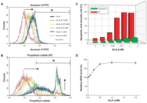 Figure 4 Apoptosis, necrosis, and ROS generation induced by ALA-PDT in HuCC -T1 cells. After ALA or nontreatment for 24 hours, HuCC -T1 cells were illuminated at 635 nm. Cells were stained with FITC-annexin V (A) and propidium iodide (B) and analyzed using a flow cytometer. Arrows indicate direction of graph movement. (C) This graph displays percentage (%) of cells in M (dotted line) area of total cells. After irradiation, ROS production in the cells was immediately measured by fluorescence intensity (D).Abbreviations: ALA-PDT, 5-aminolevulinic acid-photodynamic therapy; HuCC-T1, human cholangiocarcinoma cells; ROS, reactive oxygen species.