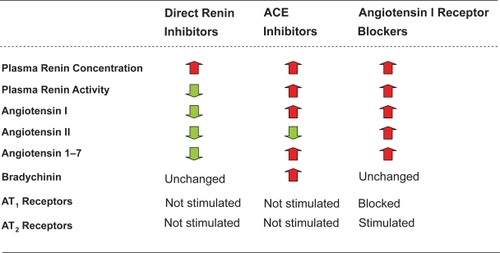 Figure 5 Similarities and differences between direct renin inhibitors, ACE inhibitors, and angiotensin I receptor blockers.