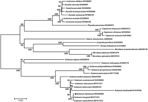 Figure 1. Maximum likelihood phylogenetic tree of S. demissum with 29 species belonging to the Solanaceae family based on chloroplast protein-coding sequences. Numbers in the nodes are the bootstrap values from 1,000 replicates.