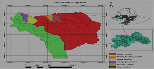 Figure 2. Geographical location of the study areas.