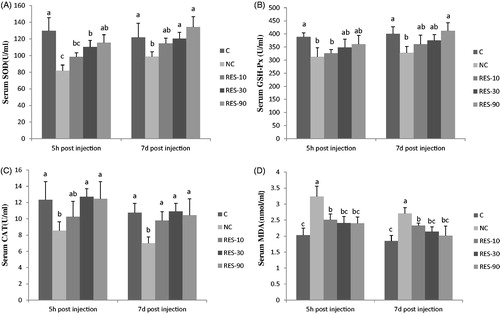Figure 3. Effect of dietary resveratrol supplementation and diquat challenge on serum antioxidant enzymes activities and MDA content in piglets. 1C group: basal diet without diquat; NC group: basal diet + diquat; RES-10 group: basal diet +10 mg/kg resveratrol + diquat; RES-30 group: basal diet +30 mg/kg resveratrol + diquat; RES-90 group: basal diet +90 mg/kg resveratrol + diquat. Values are expressed as means ± SE (n = 6). a,b,cMeans values with different letters indicate significantly difference (p < .05).