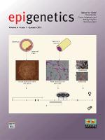 Cover image for Epigenetics, Volume 6, Issue 1, 2011