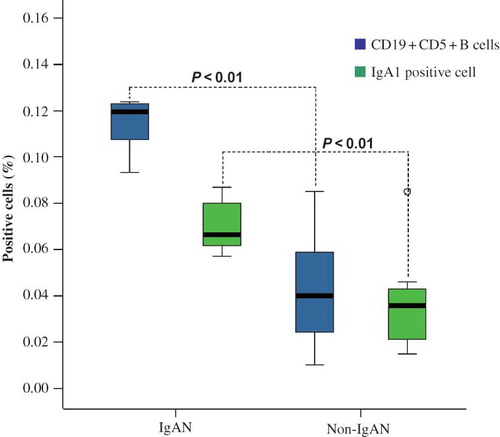 Figure 3. Comparison of the expression of CD19+CD5+B cells and IgA1-positive cells of IgAN and non-IgAN patients (control). The Wilcoxon signed-rank test has shown a significant statistical difference between IgAN and control patients.