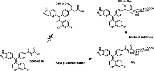 Figure 18. Bioactivation pathway of GDC-0810.