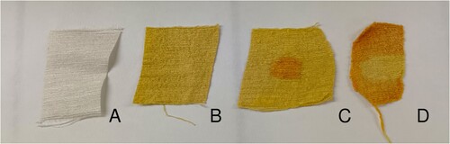 Figure 7. Silk tussah, undyed (A), after nitric acid treatment (B), with orange spot made by adding a drop of lye (C), treated with nitric acid and lye and yellow spot caused by a drop of hydrochloric acid (D). © G. Montanari.