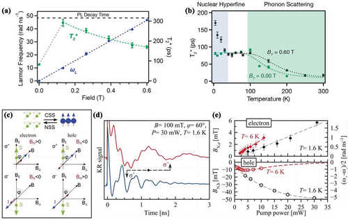 Figure 8. (a) Dependence of the Larmor frequency ωL (blue) and ensemble spin-dephasing time T2∗ (green) for CsPbBr3 nanocrystals on the transverse magnetic-field strength. The gray dashed line between 0 and 0.16 T is a guide to the eye. For comparison, the black horizontal dashed line shows the PL decay time (312 ps) measured at 4.5 K under the same conditions. (b) Ensemble inhomogeneous transverse spin-dephasing times T2∗ measured for CsPbBr3 nanocrystals with and without an applied magnetic field, plotted as a function of sample temperature. (a) and (b) Reprinted with permission from ref [Citation116]. Copyright 2020, American Chemical Society. (c) Scheme of interaction of carrier spin system (CSS) and nuclear spin system (NSS). (d) TRFR with σ+ (red) and σ− (blue) pump. The Overhauser field is either parallel or antiparallel to the external magnetic field. The arrows indicate the time shift of the second minimum of the hole spin Larmor precession. (e) Dependence of BN,e(h) on pump power at T = 1.6 K (black) and 6 K (red). Right scale shows the change of Larmor frequency. (c)-(e) Reproduced with permission from ref [Citation120]. Copyright 2021, John Wiley & Sons, Ltd.