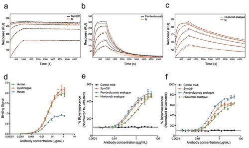 Figure 2. Surface plasmon resonance (SPR) sensorgrams and fits of the binding kinetics of a Sym021, b pembrolizumab and c nivolumab analogue binding monomeric human PD1. d Binding of Sym021 to human, cynomolgus and mouse PD1 as determined by ELISA. Data points are shown as mean values ±SD of duplicates. Dose–response curves for Sym021 in cell-based e PD-L1 blocking assay and f PD-L2 blocking assay. Analogues of pembrolizumab and nivolumab were included as a positive control, and the negative control mAb was a human IgG1 LALA that binds to an irrelevant non-human antigen. Data are presented as percent increase in luciferase signal upon blocking. Each datapoint represents mean ± SEM.